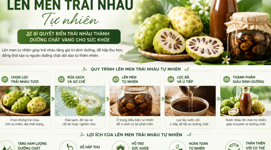 Quy trình lên men trái nhàu tự nhiên và lợi ích đối với sức khỏe